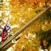 Erica Snodgrass Photo 3