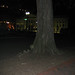 Philip Key Photo 16