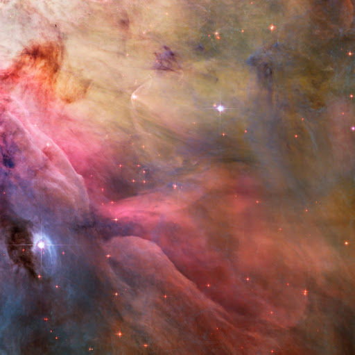 Mark Mckinney Photo 20