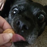 Tracie Mcknight Photo 5