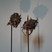 Sue Webster Photo 16