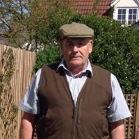 Terry Bridges Photo 10