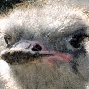 Donald Flynn Photo 28