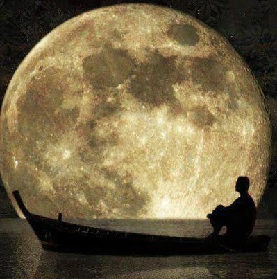 Tricia Shepherd Photo 22