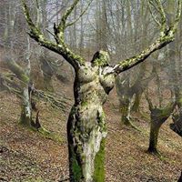 Sandra Earl Photo 28