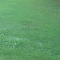 Casey Duncan Photo 19