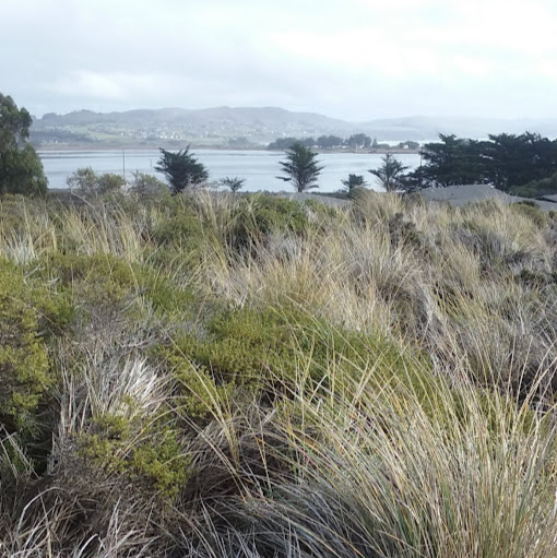 Julie Coffey Photo 33