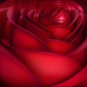 Christa Wilson Photo 29