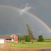 Julia Phelps Photo 15