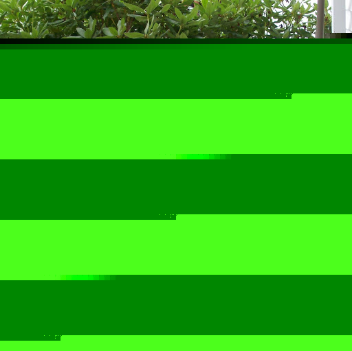 Angela Martin Photo 18