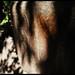 David Grove Photo 47