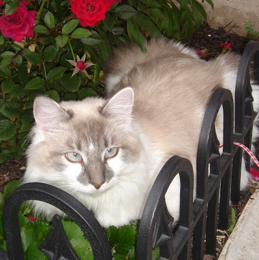 Julie Pointer Photo 20