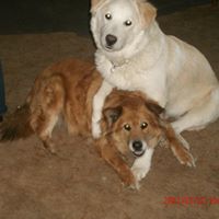 Lynda Bradshaw Photo 8