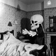 Stephen Hatcher Photo 23