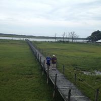 Nicholas Hilton Photo 15