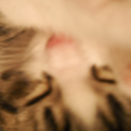 Cheryl Riddle Photo 26