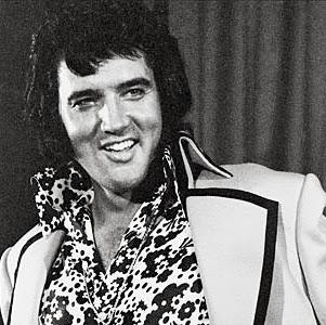 Susan Stanton Photo 12 Susan Stanton Photo 12