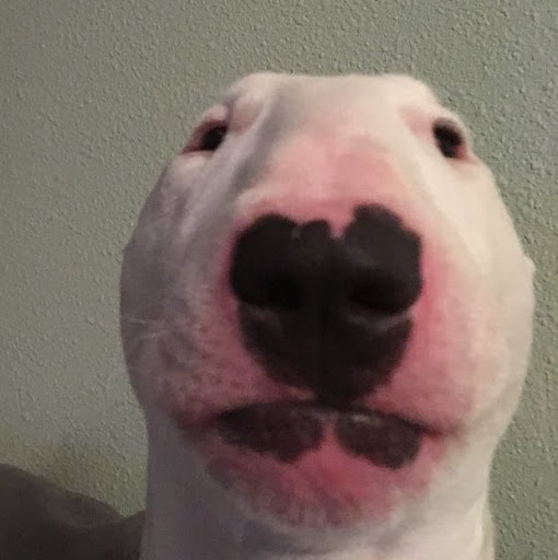 Julian Betancourt Photo 25