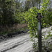 Robin Devine Photo 18