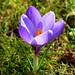 Geraldine Currie Photo 12