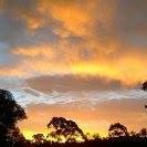 Stephen Locke Photo 16