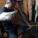 Arthur Chen Photo 38