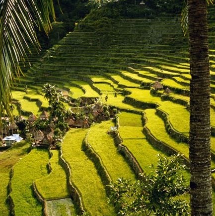 Arlene Munoz Photo 37