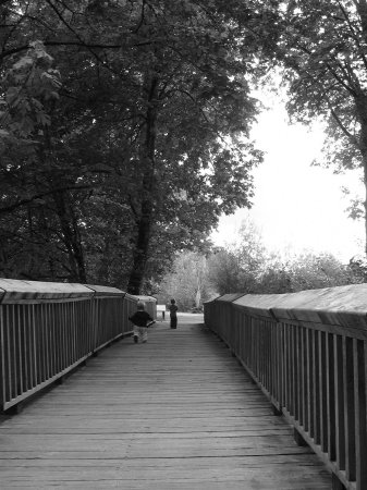 Marsha Fisher Photo 11