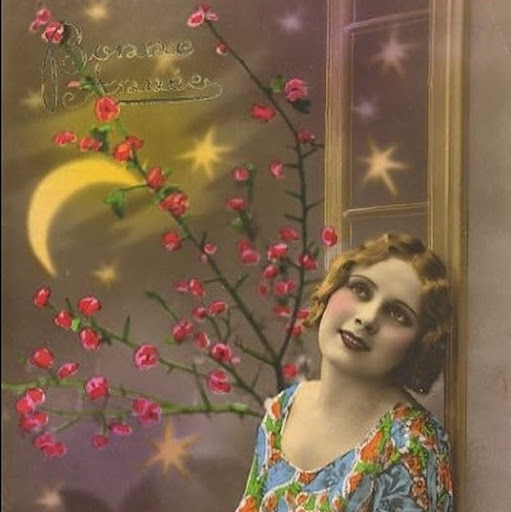 Sandra Lester Photo 19