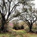 Chad Lane Photo 8