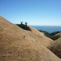 Michele Mclellan Photo 10