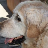 Sue Robison Photo 18