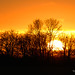 Allen Green Photo 46