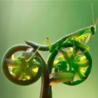 Michelle Lessard Photo 16