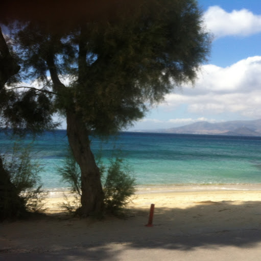 Regina Walter Photo 37