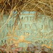 Timothy Holley Photo 6