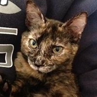 Julia Jenkins Photo 22