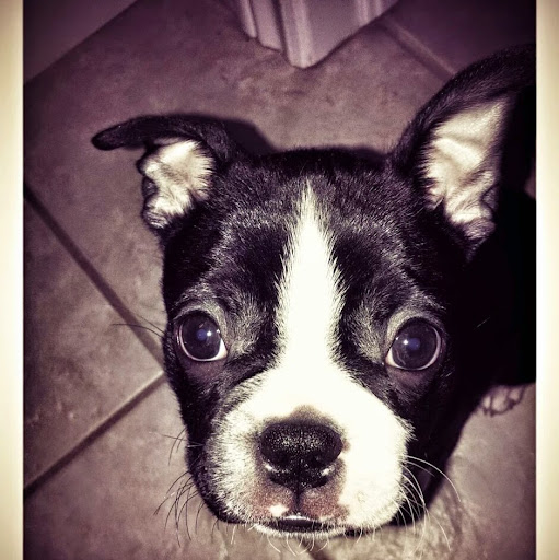 Tracy Davenport Photo 27