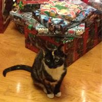 Susan Talley Photo 22