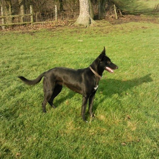 Daniel Wise Photo 34 Daniel Wise Photo 34