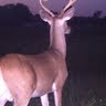 Justin Langston Photo 25