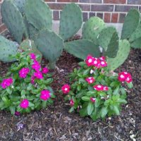 Darrell Rhoads Photo 3