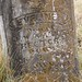 Joe Rector Photo 19