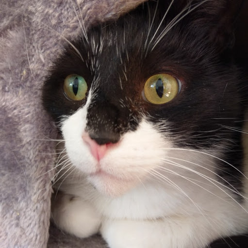 Stephanie Richter Photo 24