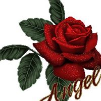 Kishor Patel Photo 25