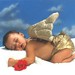 Rachel Angel Photo 34