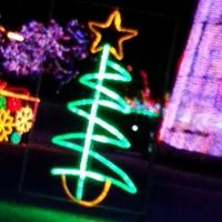 Carol Lyons Photo 15 Carol Lyons Photo 15