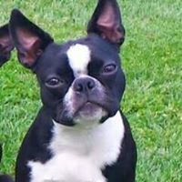 Kelly Palmer Photo 3