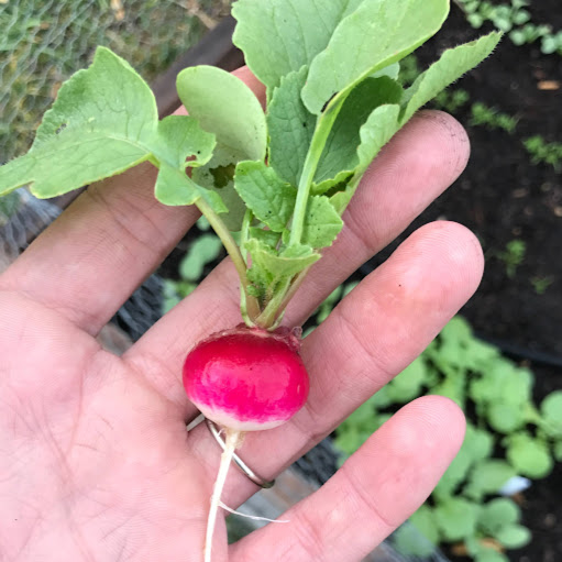 Douglas Maxey Photo 8