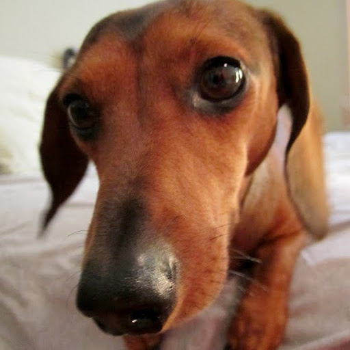 Miranda Erickson Photo 4